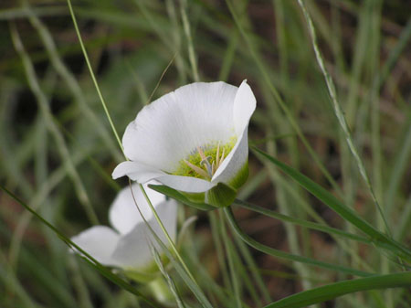 P7170097