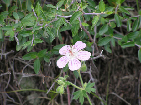 P7170102