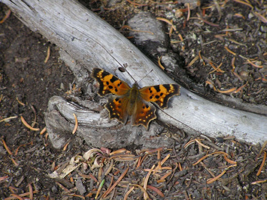 P8210135